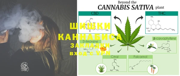 шишки Кодинск