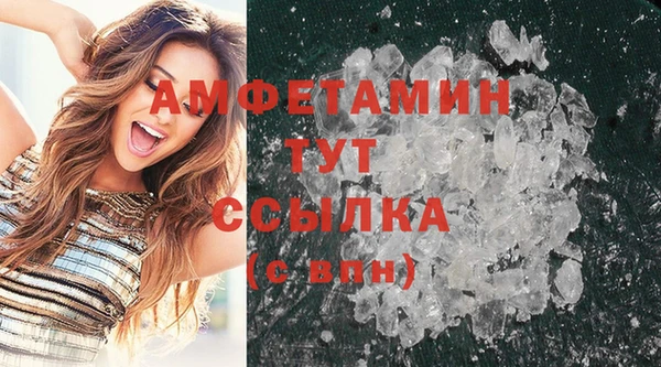 шишки Кодинск
