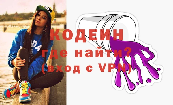 шишки Кодинск