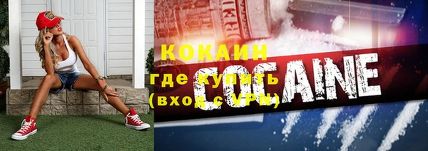 шишки Кодинск