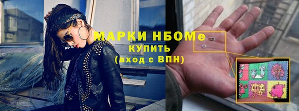 шишки Кодинск